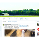 Image for article titled Why Does Danica Patrick's Dog Have More Twitter Followers Than Me?
